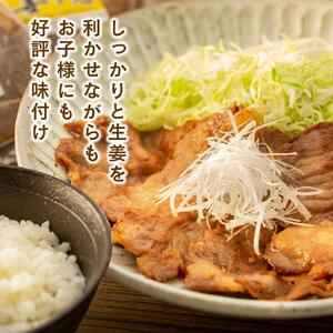 生姜焼き好きにたまらないセット！（250g×18袋）_01012