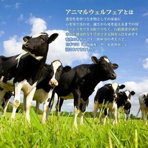 【6回定期便】北海道旭川産 チーズ ヨーグルト 牛乳 定番3種セット_01174