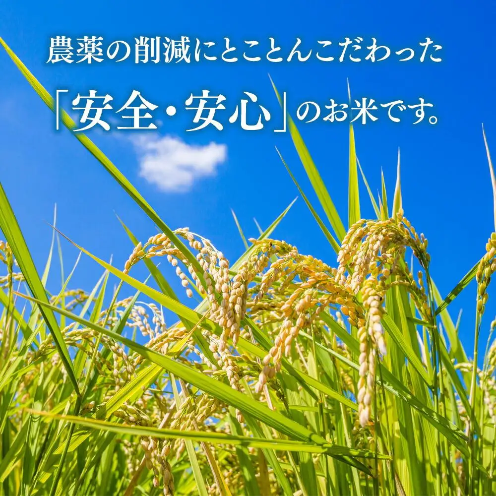 【令和7年産】あさひかわトップブランド「ゆめぴりか 白米」特別栽培米10kg | ゆめぴりか _00219