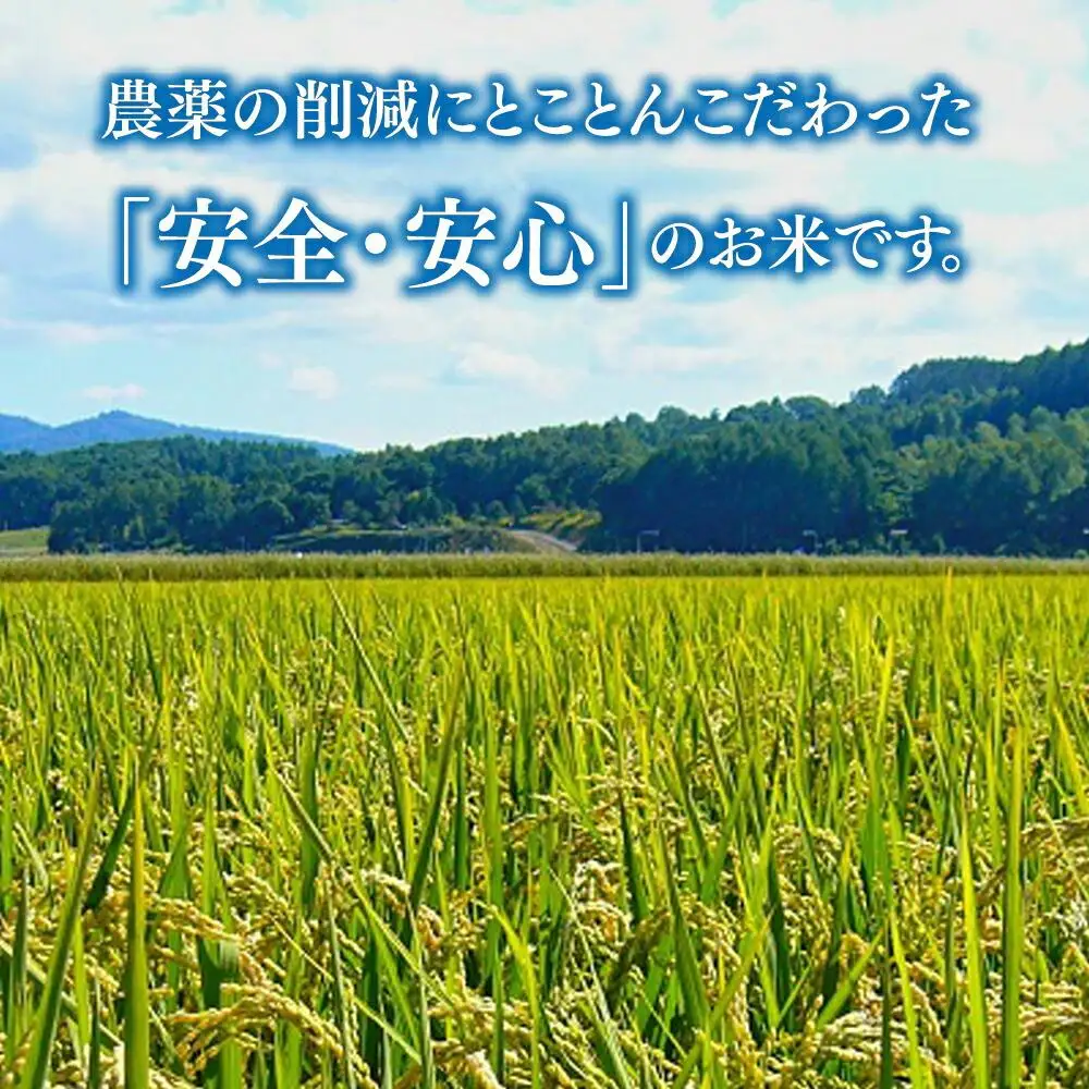 【令和7年産】特別栽培米ゆめぴりか 5kg・旭川産ななつぼし 5kg 計10kg | ゆめぴりか _01457