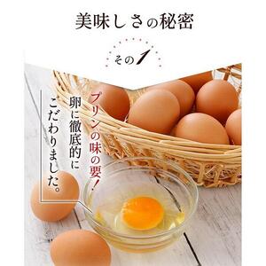 【テレビで紹介】1949年創業の卵屋が作ったプリン「とりこぷりん」 | プリン プリン 北海道_01948