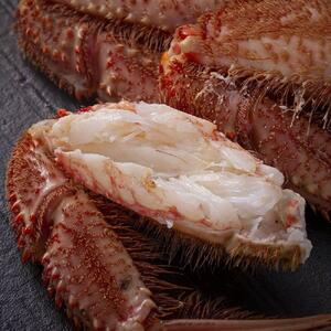 【着日指定可】北海道オホーツク産　毛ガニ　1尾　800ｇ前後 | 毛ガニ_01190