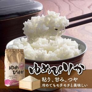【令和7年産】あさひかわ米 ゆめぴりか（10kg）_00410