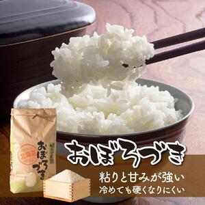【令和7年産】あさひかわ米 おぼろづき（10kg）_00411