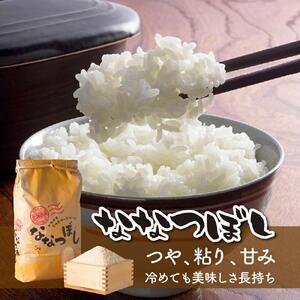 【令和7年産】あさひかわ米 ななつぼし（10kg）_00412