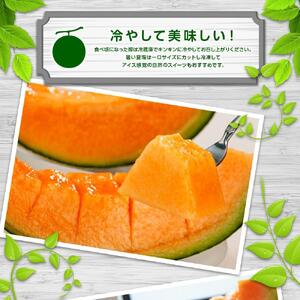 【先行予約】北海道産赤肉メロン合計3kg前後（2玉入）2026年7月中旬から順次発送予定 | メロン_01979