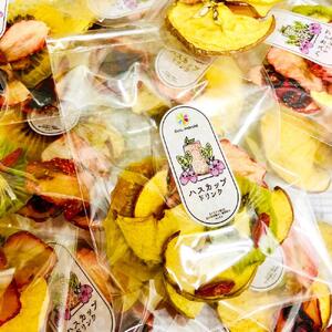 フレーバーウォーター用 旭川 ハスカップ入り 無添加 ドライフルーツ 10袋_01694