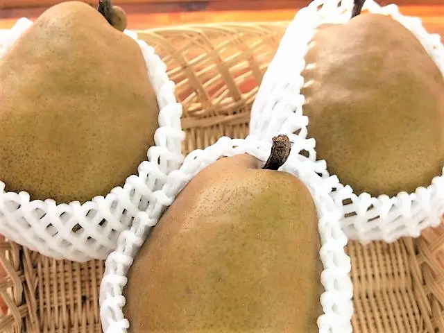 西洋梨（ラ・フランスまたはゴールドラ・フランス）３.５ｋｇ　ご家庭用　0075-2607