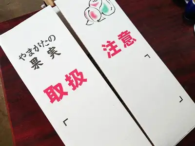 【２０２７年１月～発送】ラ・フランスとサンふじりんご詰合せ　３ｋｇ　ご家庭用　0075-2612