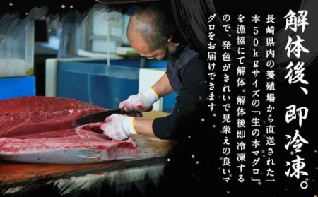 長崎県産 本マグロ赤身 300g 2人前～3人前 【大村湾漁業協同組合】