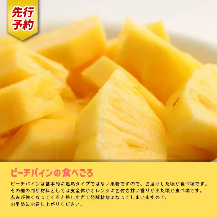 《先行予約》【2026年発送】宮古島産ピーチパイン 2kg（3～4個）セット《金ちゃん農園》（AK107）