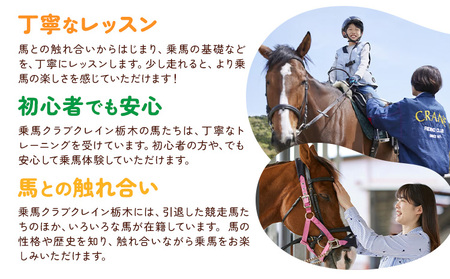 乗馬 スクール 体験 チケット 30分 平日 1名様分 クレイン栃木 《30日以内に出荷予定(土日祝除く)》栃木県 野木町 馬 乗馬体験 チケット 初心者 OK