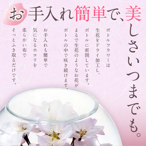 桜のボトルフラワー（久留米絣敷物付き）_ドライフラワー 桜 ボトルフラワー ソメイヨシノ 満開の桜のようにデザイン 久留米絣 敷物 ガラス容器 おしゃれ 花 インテリア 生花 ドライ加工 入学祝 卒業祝 合格祝 就職祝 旅立ち お祝い 記念 ギフト 贈り物 送料無料 〔Qb018〕