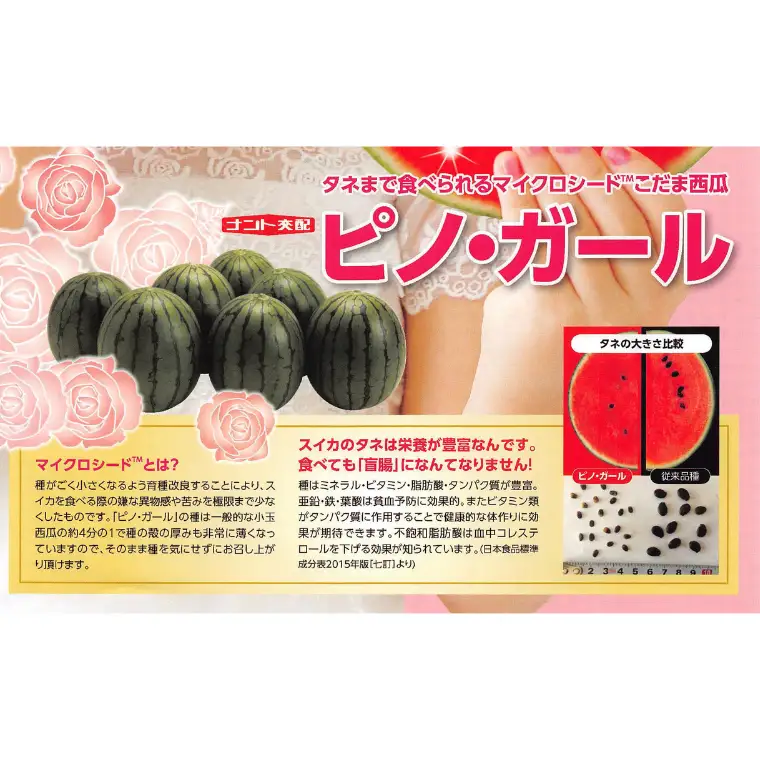 こだますいか ピノガール 2玉 《2026年5月中旬から発送開始》 すいか 小玉すいか 小玉 スイカ 果物 フルーツ[BQ018sa]