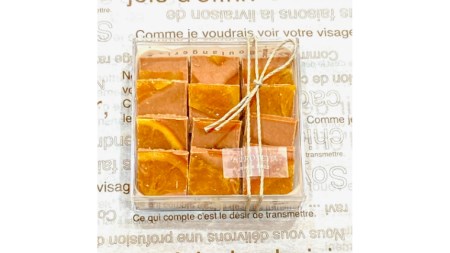 【お歳暮熨斗付】ショコラフリュイ オレンジ