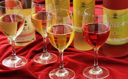 フルーティーさがたまらない！「すももワインセット」 アルコール お酒 果実酒 F4A-0056
