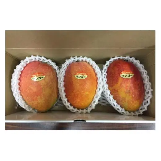 【宮古島産マンゴー】ご家庭用 1kg（2-3玉）マンゴーファーム宮古島（FQ011）