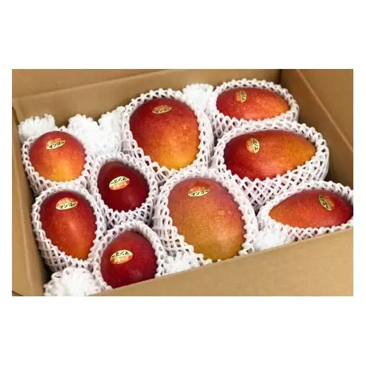 【宮古島産マンゴー】ご家庭用 4kg（8-11玉）マンゴーファーム宮古島（FQ013）
