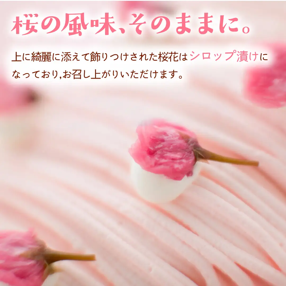 【春限定】 さくら満開 モンブランロール 1本 (AQ019-2)