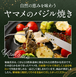 菊池川支流採れたて ヤマメのバジル焼き 75g×5尾 有限会社味万《30日以内に出荷予定(土日祝除く)》熊本県 菊池市 ヤマメ 山女魚 魚 バジル焼き キャンプ BBQ バーベキュー 温めるだけ 個包装 九州産 国産 冷凍 送料無料