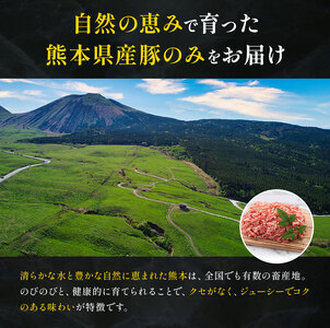 熊本県産 豚肉ミンチ 約3kg 九州産 鶏ミンチ 約2kg 計約5kg 植田商事有限会社 《90日以内に出荷予定(土日祝除く)》 熊本県 菊池市 ミンチ 豚肉 鶏肉 ハーブ鶏 お肉 熊本県産 九州産 国産 冷凍 送料無料