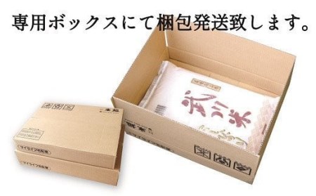 山梨県産 武川米こしひかり5kg 115-002
