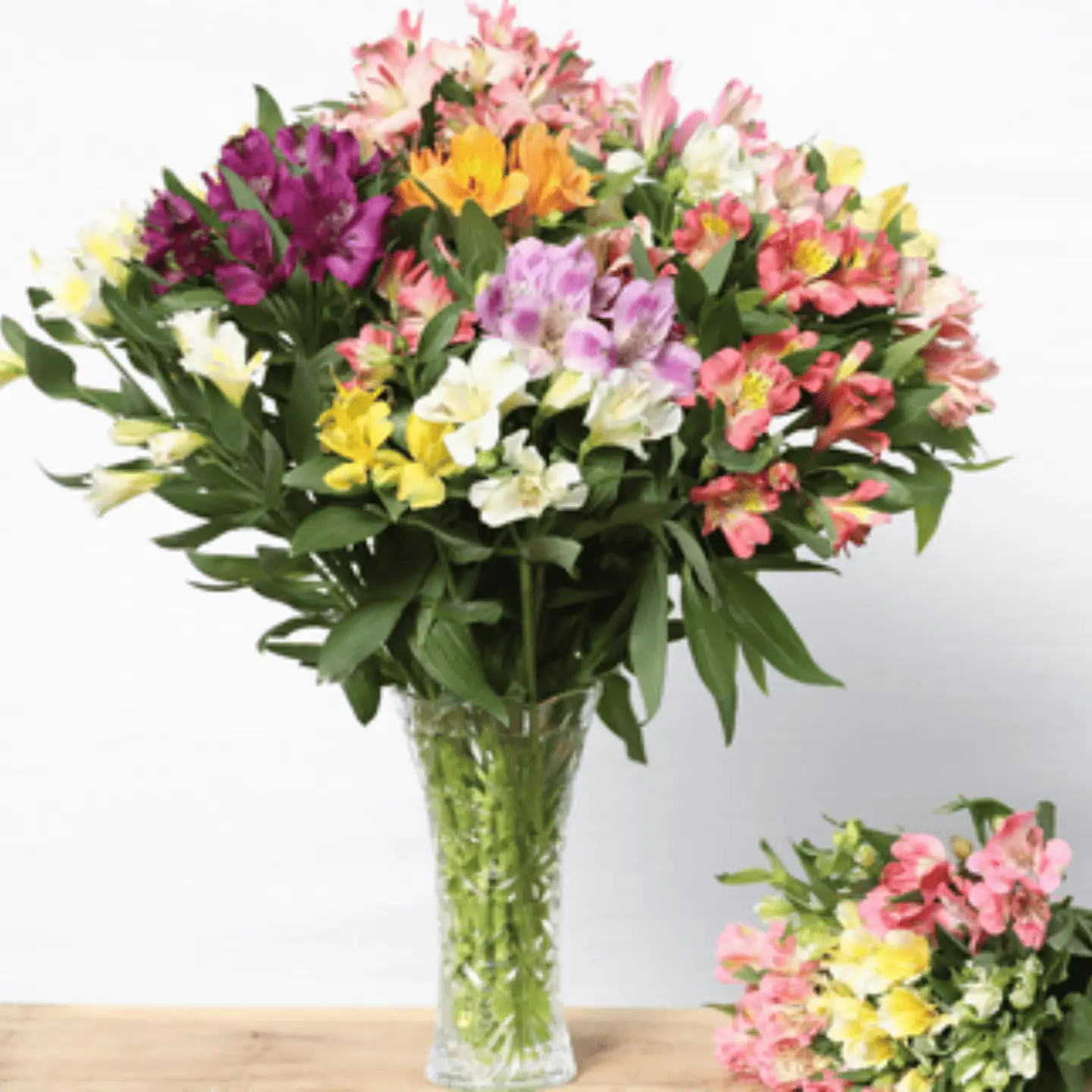定期便６回便　切り花 アルストロメリア【生花・多少の茎曲がり有　花丈70cm・35本前後】９～３月（KS-T506）