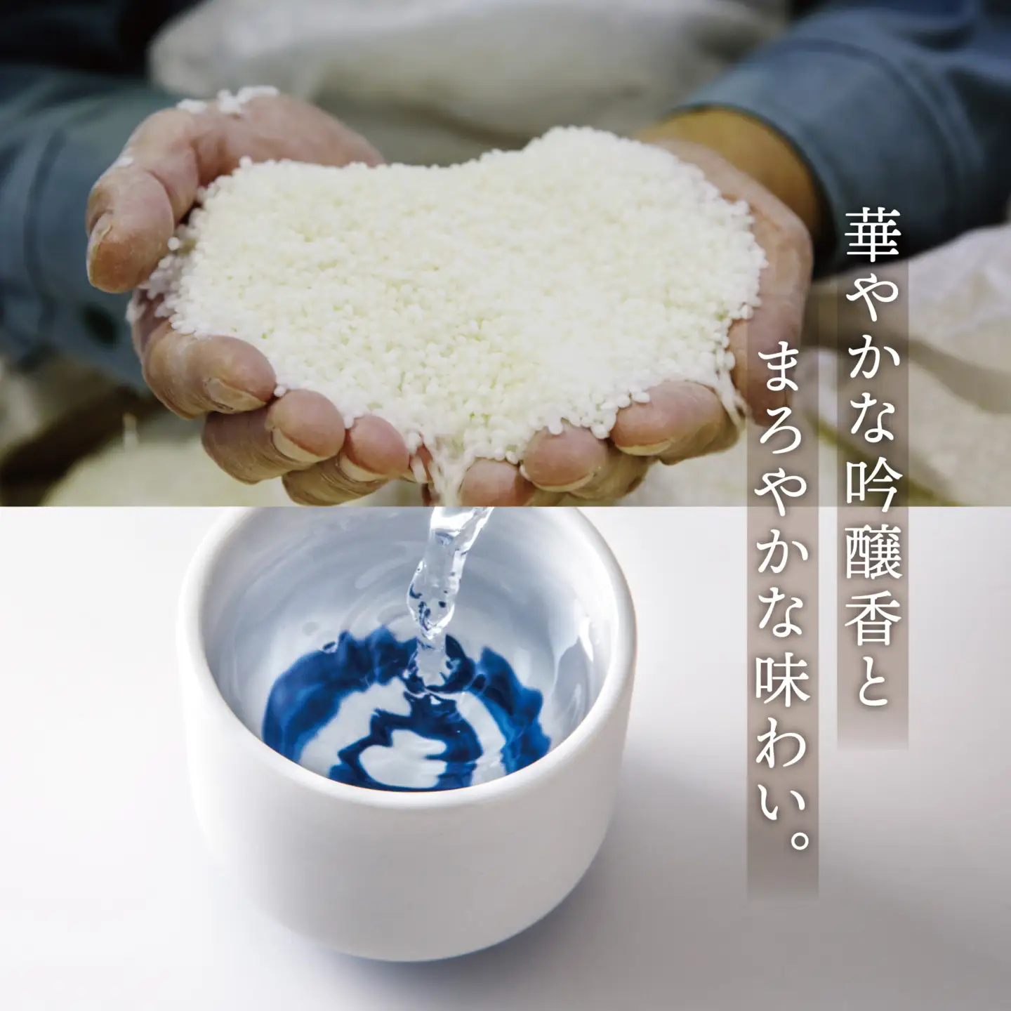 ［数量限定］宮の雪　大吟醸　720ml