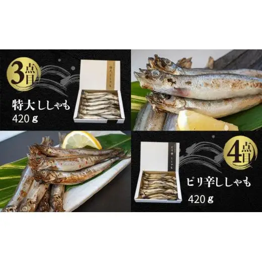 国内加工 水産物詰め合わせ 4点セット（切れてる鯖・切れてる赤魚・特大ししゃも・ピリ辛ししゃも）