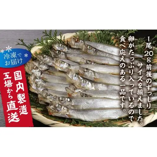 国内加工　特大ししゃも　4箱セット