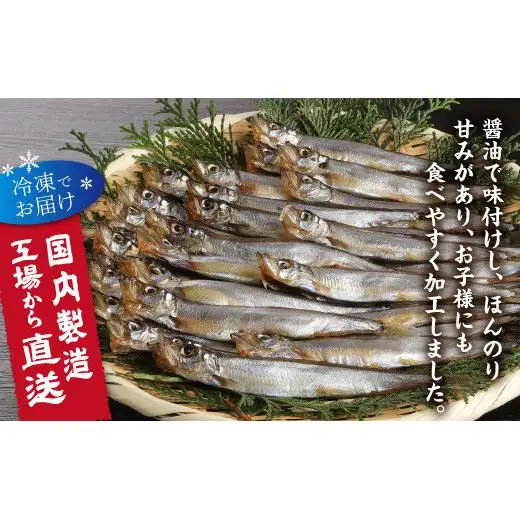 国内加工　醤油ししゃも　4箱セット