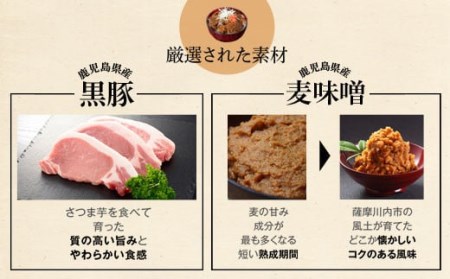 ZS-630 薩摩川内市ご当地グルメ 薩摩國のせごどんぶい黒豚丼2食