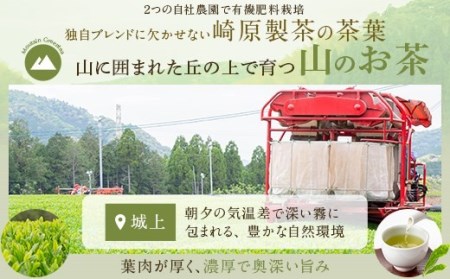 ZS-619 崎原製茶のティーバッグ3種ｵﾘｼﾞﾅﾙｾｯﾄ#1 (煎茶･焙じ茶･紅茶)