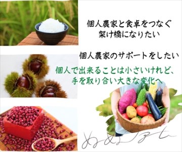 丹波産黒豆茶 5箱セット ほうじ茶×2・ルイボスティー×3 〈丹波市〉 お茶