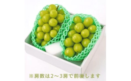 【2026年発送★先行予約】オギノフルーツ定期便（桃 約2kg・シャイン 1.2kg以上） 136-013-26y