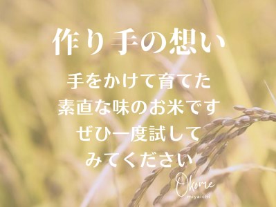 【令和7年産】きぬむすめ 2kg 鳥取県江府町産 キヌムスメ 精米 産地直送 お試し2ｷﾛ 0932