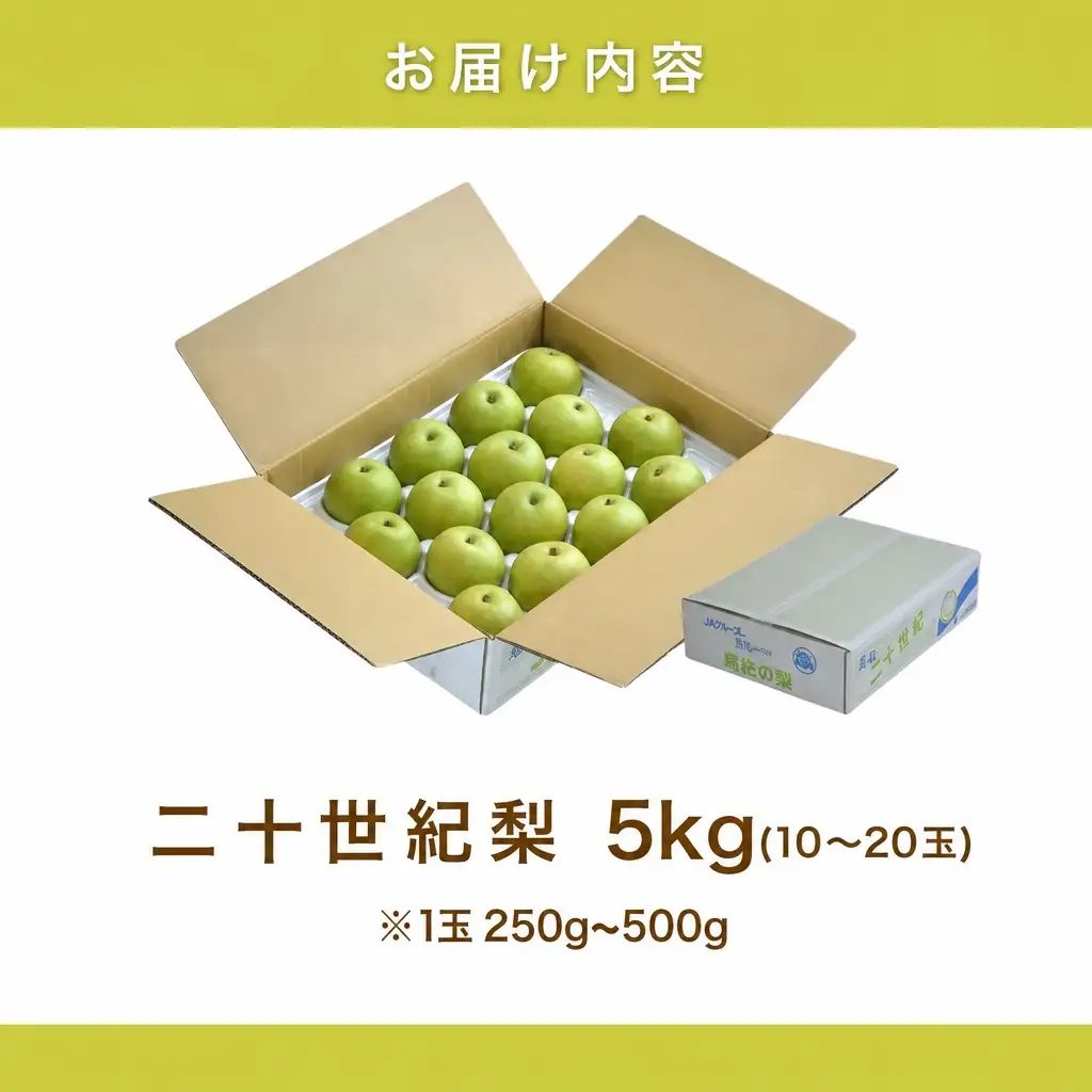 【2026年産 先行予約】 梨 二十世紀梨 約5kg 10～20玉 1玉250～500g 【令和8年8月下旬以降発送予定】 20世紀梨 フルーツ 果物 12-25