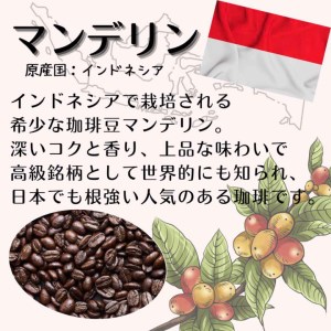【定期便】自家焙煎 人気珈琲豆 3種セット（6か月）（挽き）