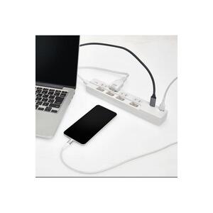 電源タップ　耐雷サージ　USBポート付きスイッチ付きタップ　USB×2ポート　4個口2ｍ　WBK-4232SUA(W)