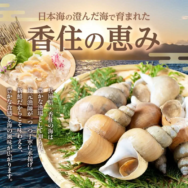 バイ貝 刺身用 150g×4P 海鮮 魚貝 33-17