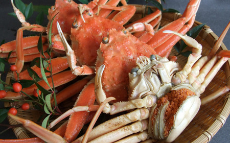 【先行予約】 セコガニ 6～10匹 約1.2kg  【令和8年11月下旬以降発送予定】カニ 33-23