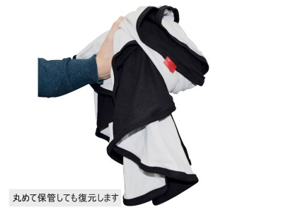 AG29　フレキシブルスクリーン大
