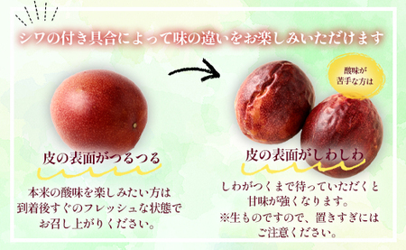【2026年発送】先行受付 徳之島 天城町 吉川果樹園 パッションフルーツ 家庭用 3kg トロピカルフルーツ フルーツ パッション 自宅用 AB-31-N
