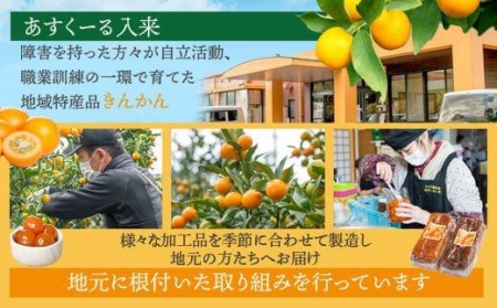 ZS-713 きんかん夢工房 きんかん甘露煮・きんかんシロップセット