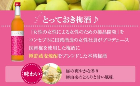 AS-838　飲み比べ かごしま ほろよいセット（とっておき梅酒♪・金柑こみち） 各500ml 田苑酒造