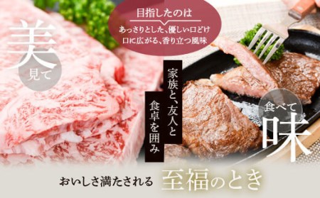JS-303 鹿児島県北さつま高崎牛 詰め合わせ 【鹿児島県産黒毛和牛】