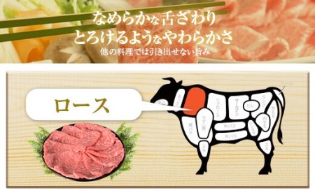 DSR-607 鹿児島県産黒毛和牛しゃぶしゃぶ 600g Bｾｯﾄ 名産鹿児島和牛かんだ本店