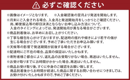 【12カ月定期便】熊本フルーツ定期便12カ月｜果物 くだもの 苺 いちご みかん 柑橘 メロン すいか 桃 ぶどう 梨 柿 ジャム