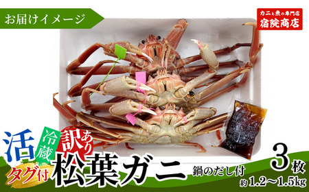 【先行予約】【訳あり】活 松葉がに 生 3枚（計約1.2～1.5kg）【令和9年1月下旬以降発送予定】冷蔵 かに カニ 33-26
