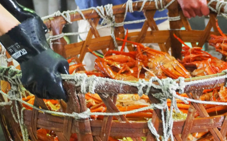 香住ガニ ほぐし身と濃厚蟹みそのセット かに身 100g×4個 濃厚蟹みそ 40g×2個 冷蔵【令和8年10月以降発送予定】香住ガニ ベニズワイガニ かに カニ 39-08
